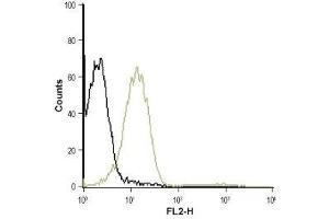 Cell surface detection of P2RY1 in Jurkat (human acute T cell leukemia) living cells: (black line) Unstained cells.