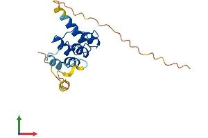 AlphaFold protein structure predicition of Human Recombinant ANKRD37 Protein, UniprotID Q7Z713