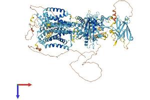 AlphaFold protein structure predicition of Human Recombinant DISP3 Protein, UniprotID Q9P2K9