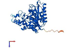 AlphaFold protein structure predicition of Mouse Recombinant Hdac8 Protein, UniprotID Q8VH37