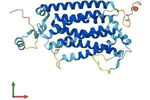 AlphaFold protein structure predicition of Mouse Recombinant Slc51a Protein, UniprotID Q8R000