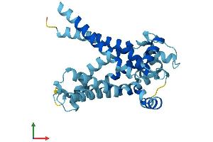 AlphaFold protein structure predicition of Human Recombinant SLC25A15 Protein, UniprotID Q9Y619