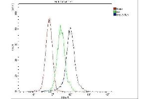 Flow Cytometry analysis of ANA-1 cells using anti-ARSA antibody (ABIN5692787). (Arylsulfatase A anticorps  (C-Term))