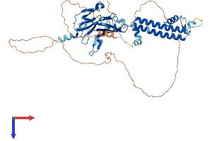 AlphaFold protein structure predicition of Mouse Recombinant Kcnj3 Protein, UniprotID P63250