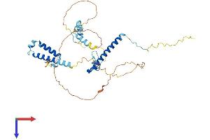 AlphaFold protein structure predicition of Human Recombinant POLR2M Protein, UniprotID P0CAP2