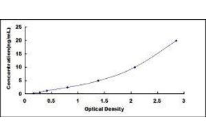 Typical standard curve (Caspase 1 Kit ELISA)
