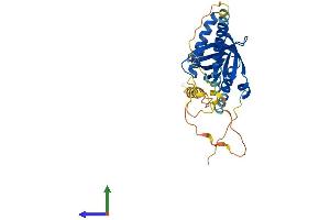 AlphaFold protein structure predicition of Human Recombinant GULP1 Protein, UniprotID Q9UBP9