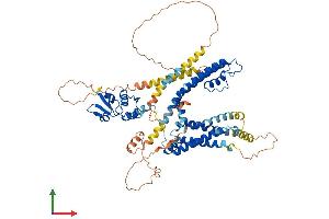AlphaFold protein structure predicition of Human Recombinant KCNA4 Protein, UniprotID P22459