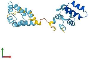 AlphaFold protein structure predicition of Human Recombinant CRADD Protein, UniprotID P78560