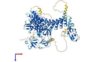AlphaFold protein structure predicition of Mouse Recombinant Mib1 Protein, UniprotID Q80SY4
