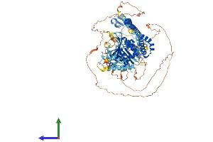 AlphaFold protein structure predicition of Mouse Recombinant Pml Protein, UniprotID Q60953