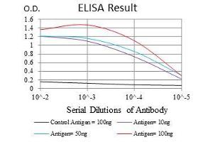 Black line: Control Antigen (100 ng), Purple line: Antigen(10 ng), Blue line: Antigen (50 ng), Red line: Antigen (100 ng), (FGF4 anticorps  (AA 62-123))