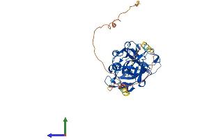 AlphaFold protein structure predicition of Human Recombinant HMCES Protein, UniprotID Q96FZ2