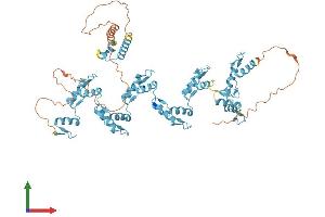 AlphaFold protein structure predicition of Human Recombinant ZNF555 Protein, UniprotID Q8NEP9