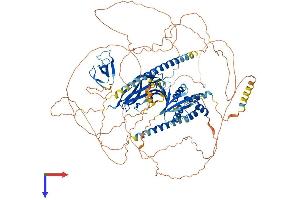 AlphaFold protein structure predicition of Human Recombinant NBR1 Protein, UniprotID Q14596
