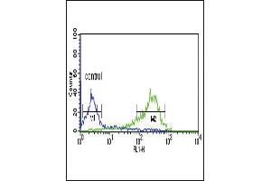 HLN1 Antibody (N-term) 9791a flow cytometric analysis of MCF-7 cells (right histogram) compared to a negative control cell (left histogram). (HAPLN1 anticorps  (N-Term))