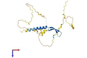 AlphaFold protein structure predicition of Human Recombinant BCL7C Protein, UniprotID Q8WUZ0