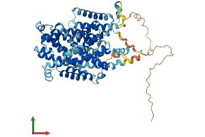AlphaFold protein structure predicition of Mouse Recombinant Slc7a4 Protein, UniprotID Q8BLQ7