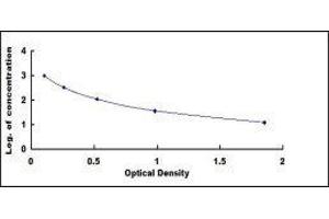 ELISA image for Adrenocorticotropic hormone (ACTH) ELISA Kit (ABIN1873393)