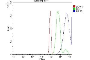 Flow Cytometry analysis of RH35 cells using anti-RPL23 antibody (ABIN7599808).