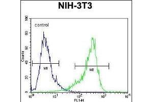 CYP26A1 Antibody (C-term) (ABIN650717 and ABIN2837925) flow cytometric analysis of NIH-3T3 cells (right histogram) compared to a negative control cell (left histogram). (CYP26A1 anticorps  (C-Term))