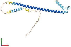 AlphaFold protein structure predicition of Human Recombinant ATF3 Protein, UniprotID P18847