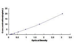 Glutamate Receptor, Ionotropic, N-Methyl D-Aspartate 2B (GRIN2B) ELISA Kit