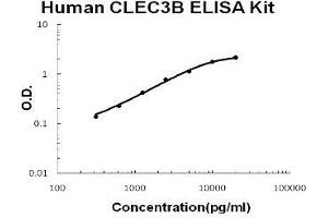 Human Tetranectin/CLEC3B PicoKine ELISA Kit standard curve (CLEC3B Kit ELISA)