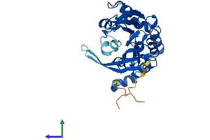 AlphaFold protein structure predicition of Human Recombinant METTL6 Protein, UniprotID Q8TCB7