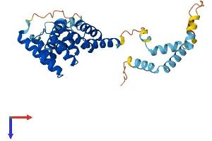AlphaFold protein structure predicition of Human Recombinant SGTA Protein, UniprotID O43765