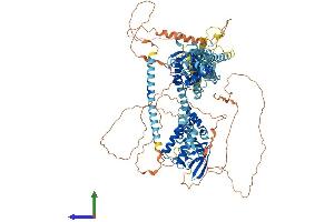 AlphaFold protein structure predicition of Human Recombinant KCNH4 Protein, UniprotID Q9UQ05