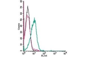 Cell surface detection of KISS1 Receptor by indirect flow cytometry in live intact human Jurkat T-cell leukemia cells: (black line) Cells.