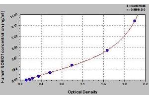 Typical standard curve (ROBO1 Kit ELISA)