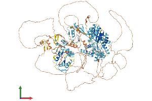 AlphaFold protein structure predicition of Mouse Recombinant Pogz Protein, UniprotID Q8BZH4
