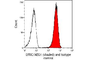 Flow Cytometry (FACS) image for anti-Metadherin (MTDH) (AA 475-525) antibody (ABIN7795652)