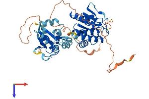 AlphaFold protein structure predicition of Human Recombinant DUSP4 Protein, UniprotID Q13115