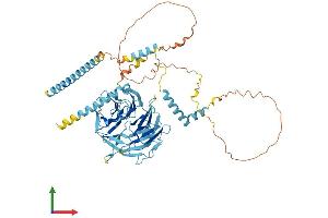 AlphaFold protein structure predicition of Mouse Recombinant Dync1i1 Protein, UniprotID O88485