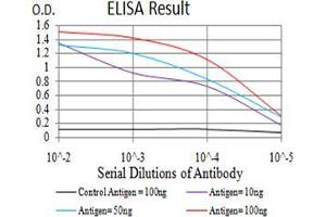 Black line: Control Antigen (100 ng),Purple line: Antigen (10 ng), Blue line: Antigen (50 ng), Red line:Antigen (100 ng) (MITF anticorps  (AA 1-114))