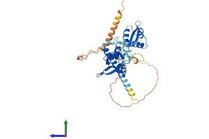 AlphaFold protein structure predicition of Human Recombinant MAGEB10 Protein, UniprotID Q96LZ2