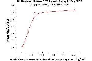 Immobilized Human GITR, Fc Tag (ABIN5954929,ABIN6253604) at 2 μg/mL (100 μL/well) can bind Biotinylated Human GITR Ligand, Avitag,Fc Tag (ABIN5954942,ABIN6253603) with a linear range of 4-63 ng/mL (QC tested).