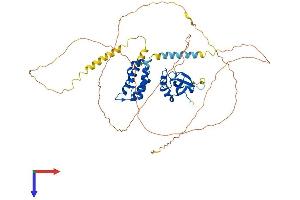 AlphaFold protein structure predicition of Human Recombinant PSIP1 Protein, UniprotID O75475