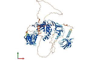 AlphaFold protein structure predicition of Human Recombinant DLG3 Protein, UniprotID Q92796