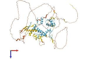 AlphaFold protein structure predicition of Human Recombinant ZNF276 Protein, UniprotID Q8N554