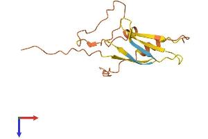 AlphaFold protein structure predicition of Human Recombinant GUSBP1 Protein, UniprotID Q15486