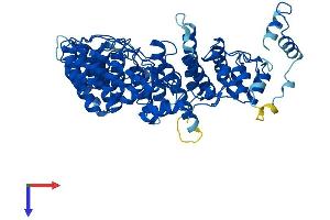 AlphaFold protein structure predicition of Mouse Recombinant Fem1c Protein, UniprotID Q8CEF1