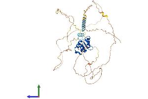 AlphaFold protein structure predicition of Human Recombinant ETV4 Protein, UniprotID P43268