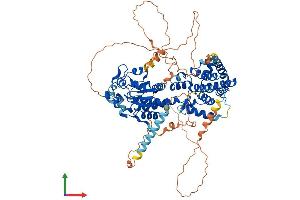 AlphaFold protein structure predicition of Human Recombinant PTPDC1 Protein, UniprotID A2A3K4