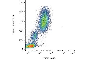 Flow cytometry analysis (surface staining) of human peripheral blood with anti-human CD10 (MEM-78) PerCP. (MME anticorps  (PerCP))