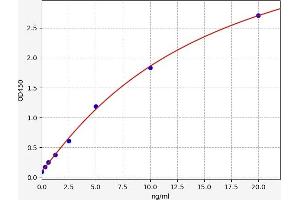 Typical standard curve (HLA-DQB2 Kit ELISA)