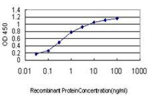 Detection limit for recombinant GST tagged CSF1R is approximately 0. (CSF1R anticorps  (AA 21-120))